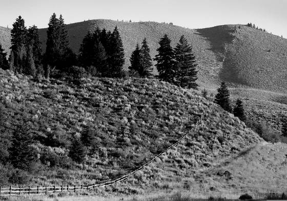 Big_country