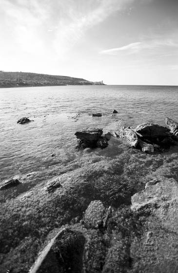 Boccale