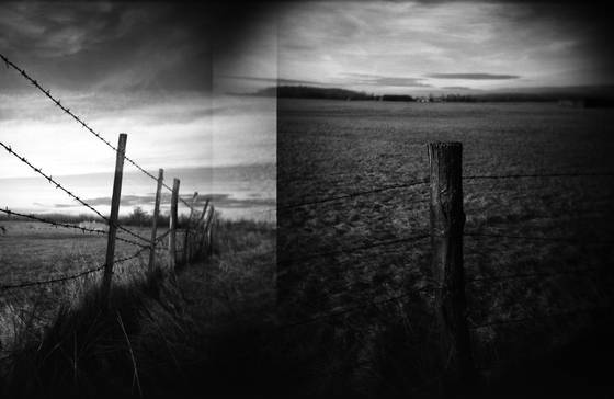 Fence