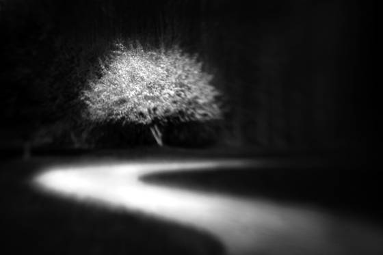 I_saw_the_light