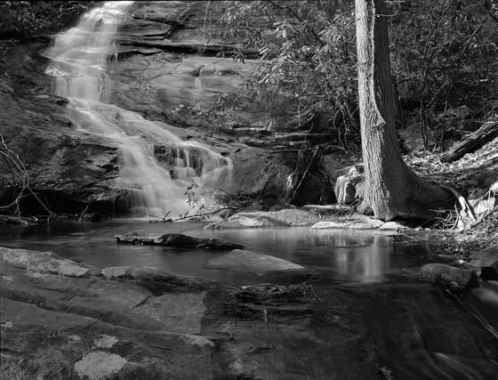 Falls_branch_falls