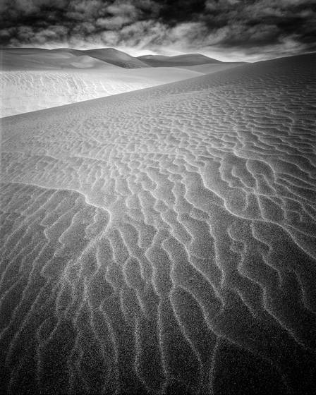 Dune_study