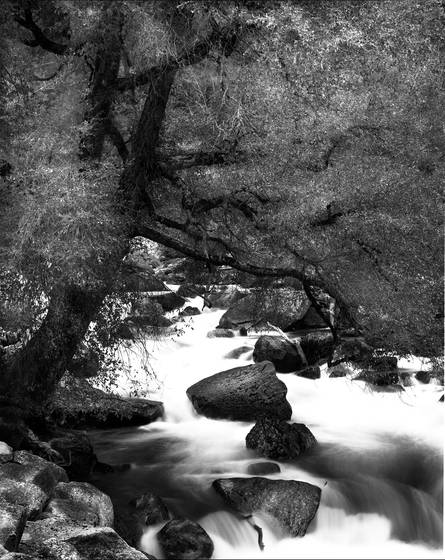Tenaya_creek
