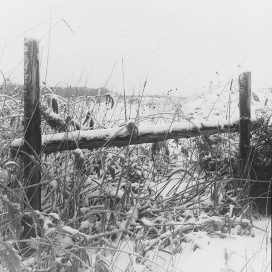 Fence_2