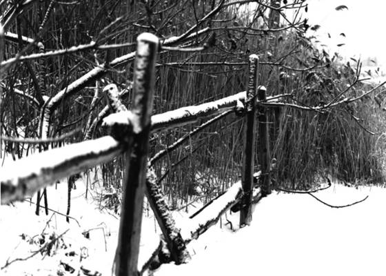 Fence
