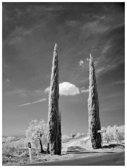 Il_monte