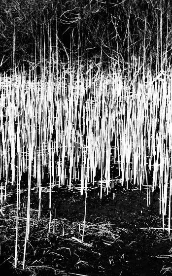 Untitled_1