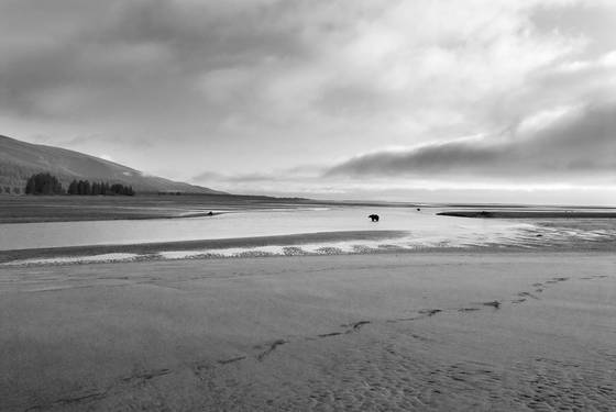 Solitude