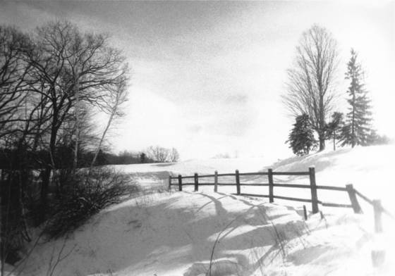 Dreamscape_ii