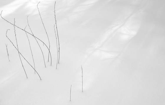Zen_snow