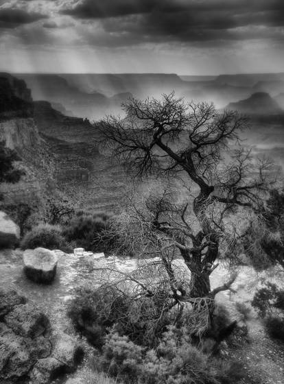 Untitled_6