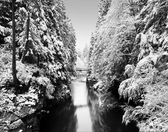 Capilano_winter