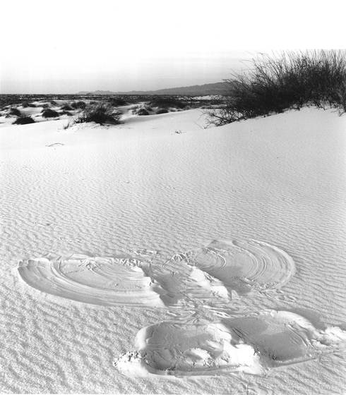 Sand_angel