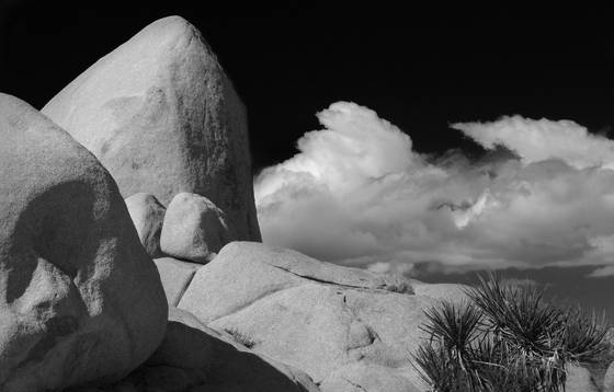 Untitled_1