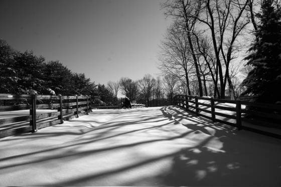 Farm