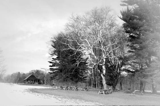 Park