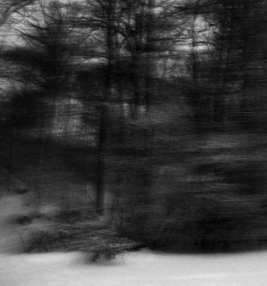 High_park_memories_no12