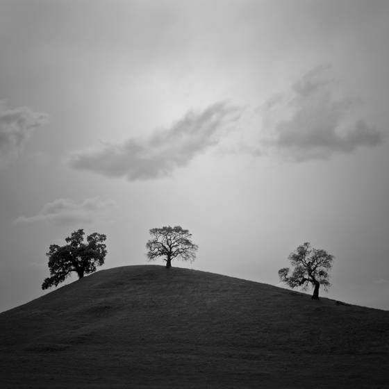 Scott_road_study