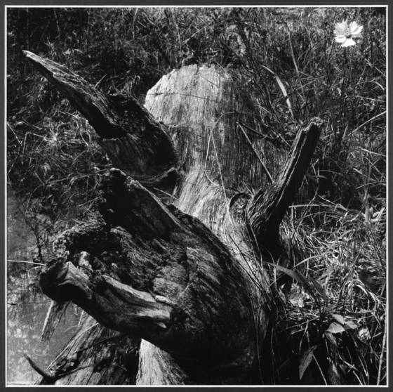 Untitled_11