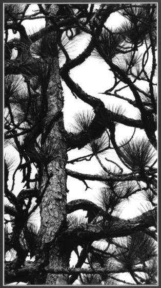 Untitled_22