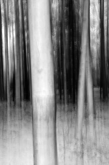 Ghosts__2