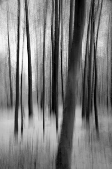 Ghosts_1