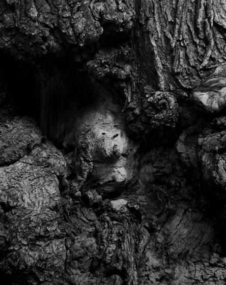 Texture_15