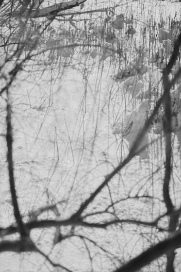 Snow_field
