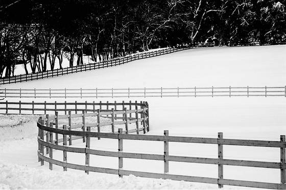 Sweeping_fence