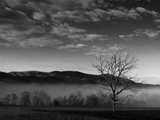 Smoky_mountain_view