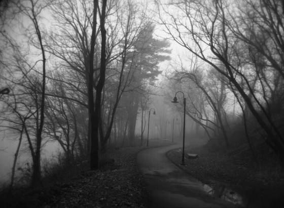 Pathway_ii
