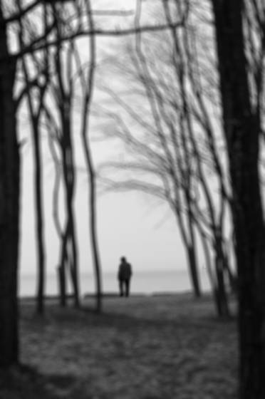Golden_gardens_752