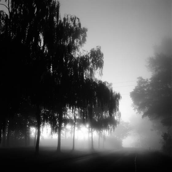 Area_2232_i
