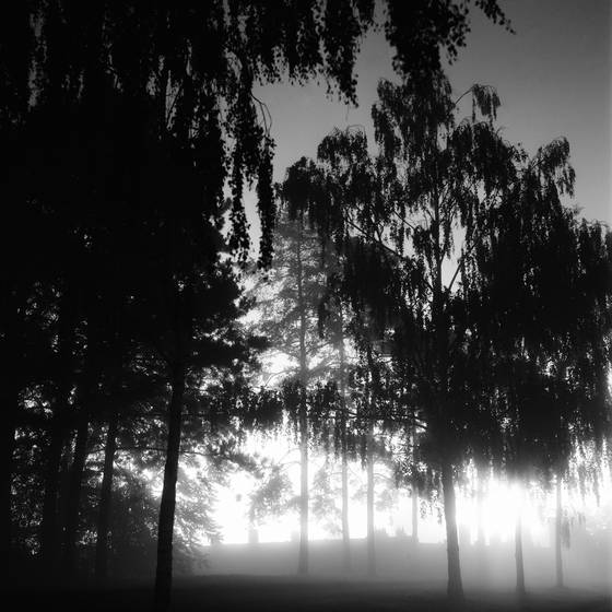 Area_2232_ii