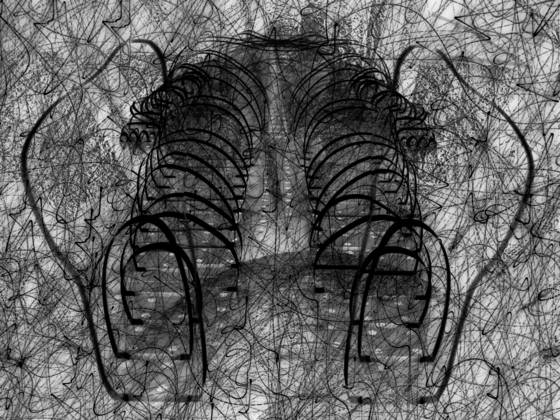 Virtual_man
