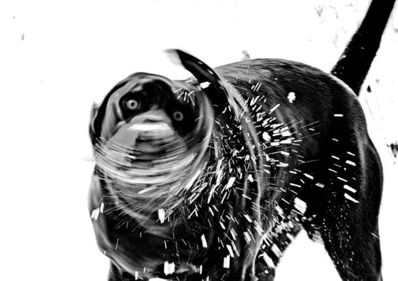 Untitled__7