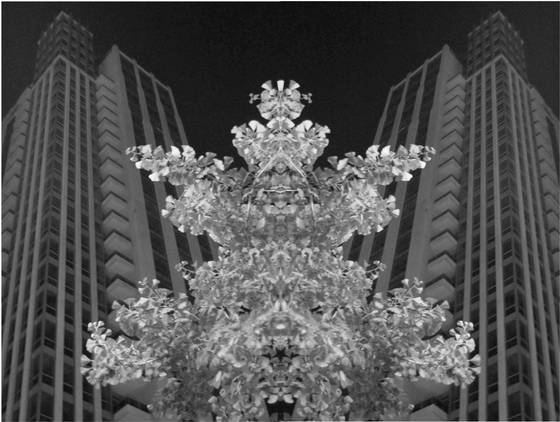 Merged
