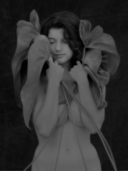Dorothea