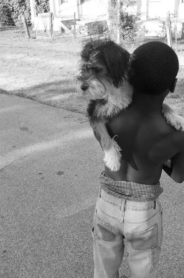A_boy___his_dog