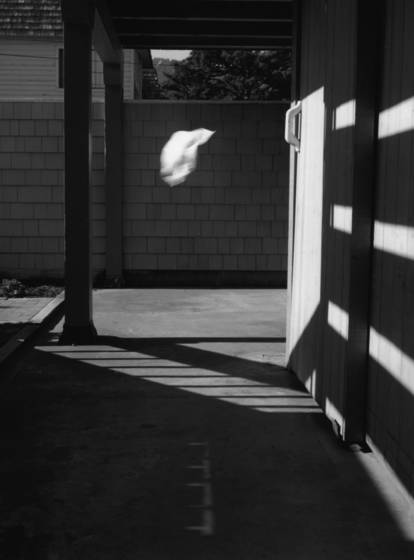 Blowing_in_the_wind