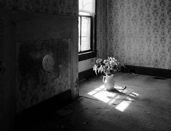 The_flowers