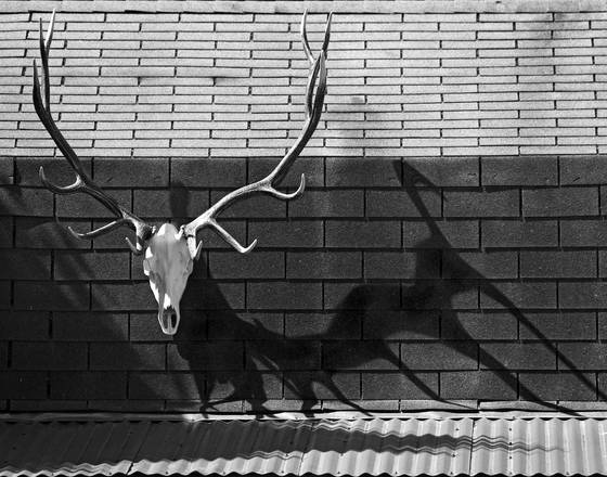 Illusion