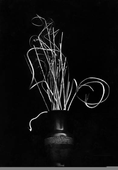 Forms
