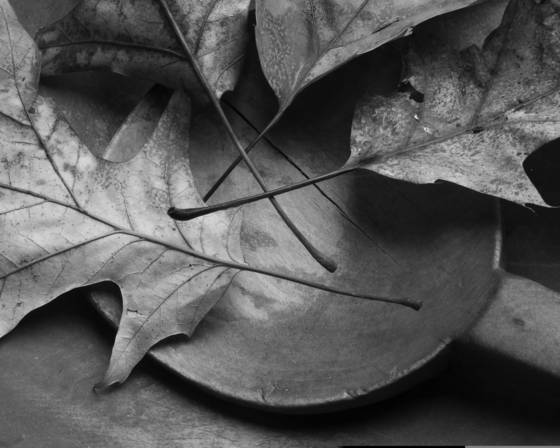 Leaves_and_wooden_bowl