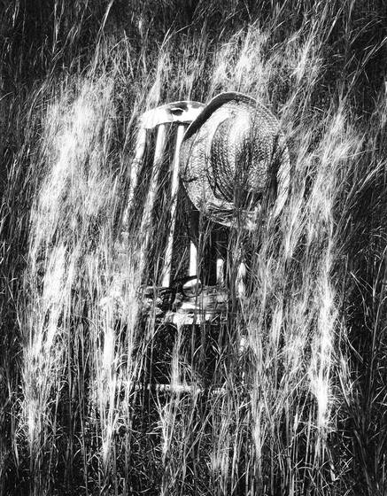 Chair_in_weeds