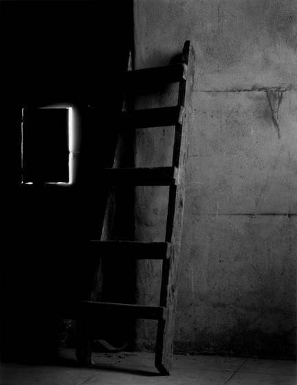 Ladder_and_window