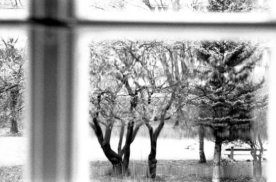 Window_in_softness