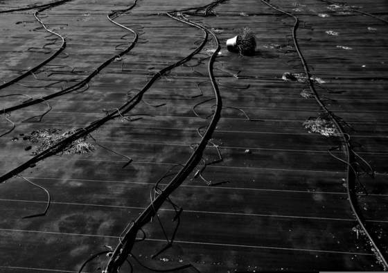 Left_behind