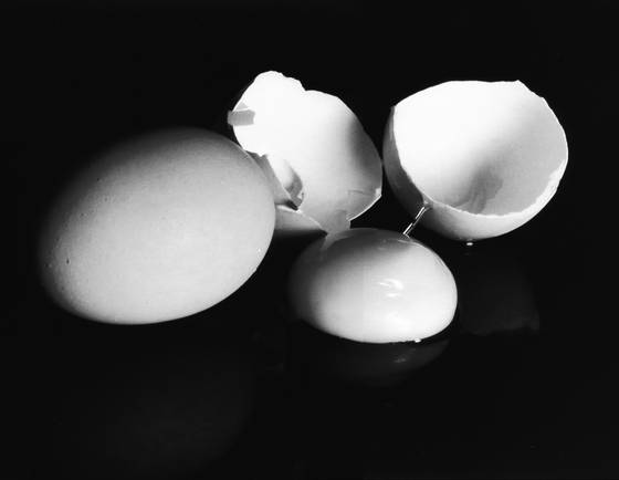 Eggs