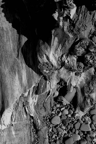 Driftwood_2